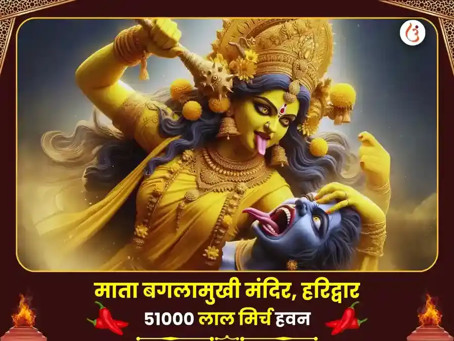 माँ बगलामुखी 51000 लाल मिर्ची हवन puja image 1