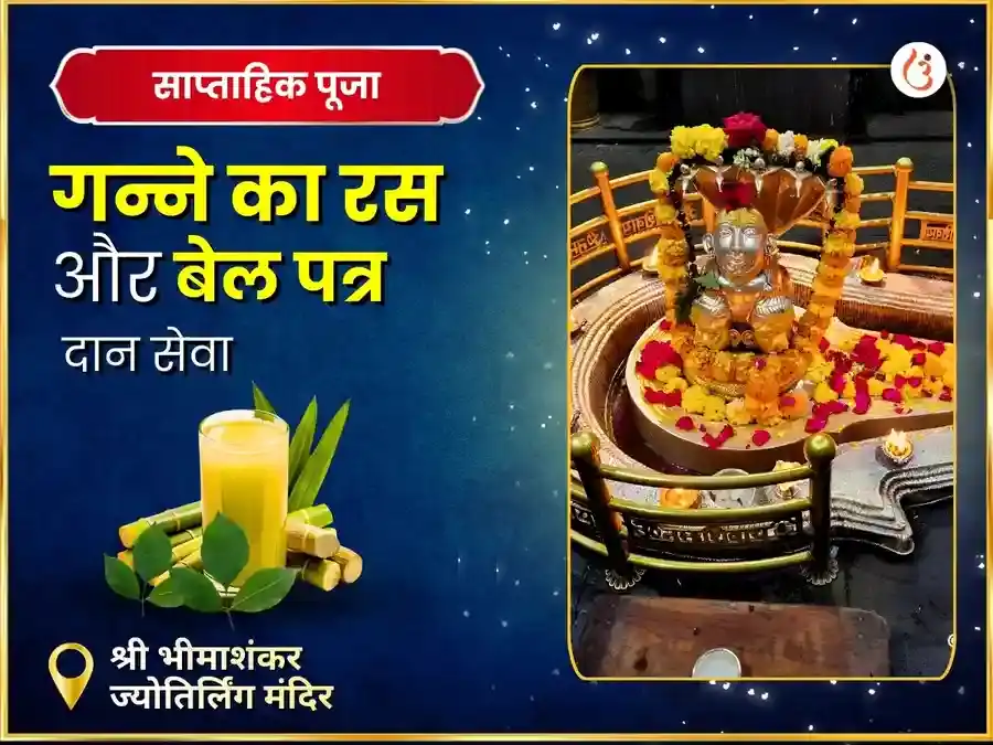 भीमाशंकर ज्योतिर्लिंग साप्ताहिक दान सेवा puja image 1
