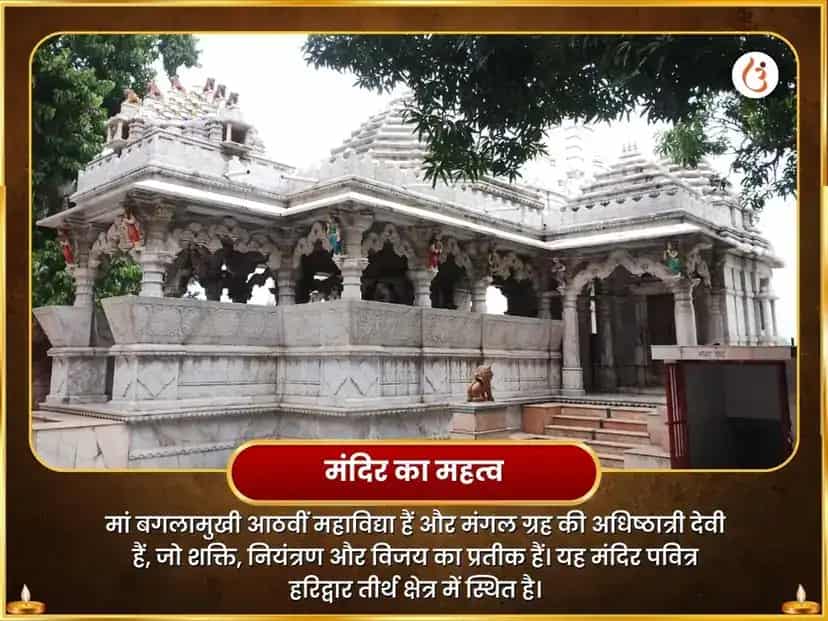 माँ बगलामुखी 51000 लाल मिर्ची हवन puja gallery 4