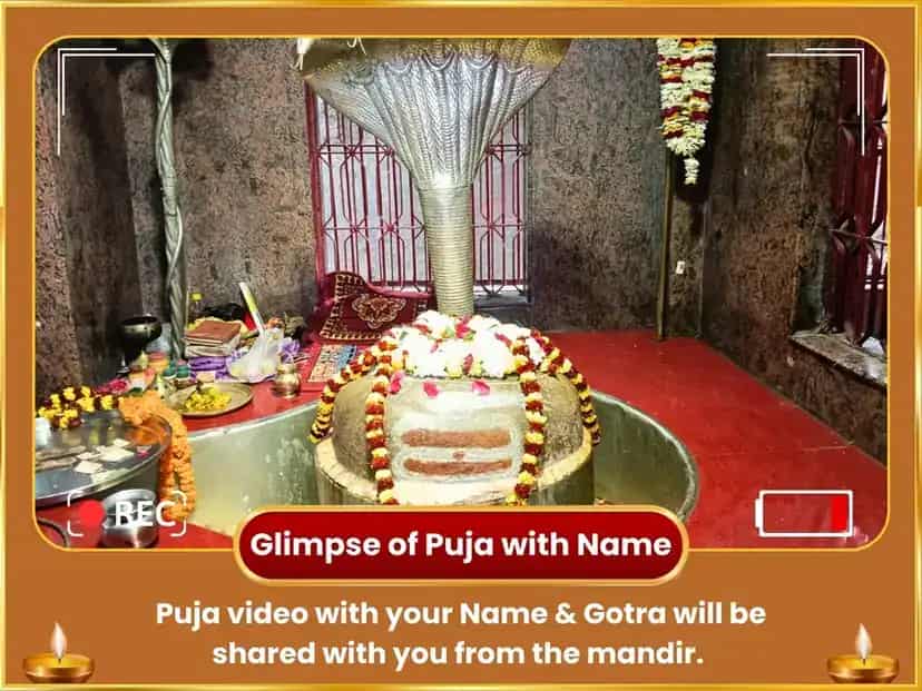 Fire Horse Special Karma Cleansing Surya Ashtakam Path & Swarna Ashwa Chadava puja gallery 2