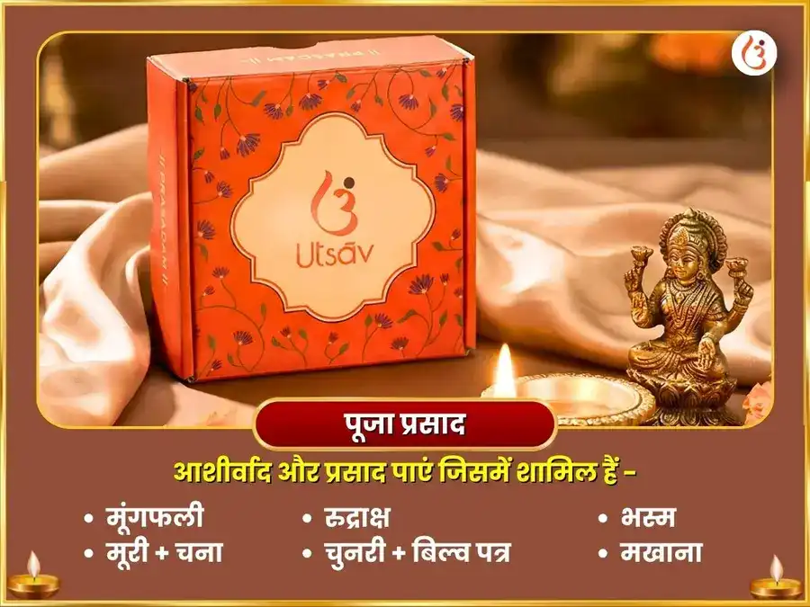 मालव्य लक्ष्मी नारायण राजयोग प्राप्ति महालक्ष्मी कमलात्मिका 16 कला पूर्ति महा हवन पूजा puja gallery 3