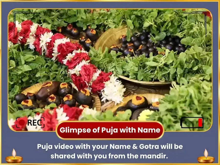 Varuthini Ekadashi Gaya Vishesh Vishnu Shahasranam Path & Tripindi Shradh & Pindaan  puja gallery 2