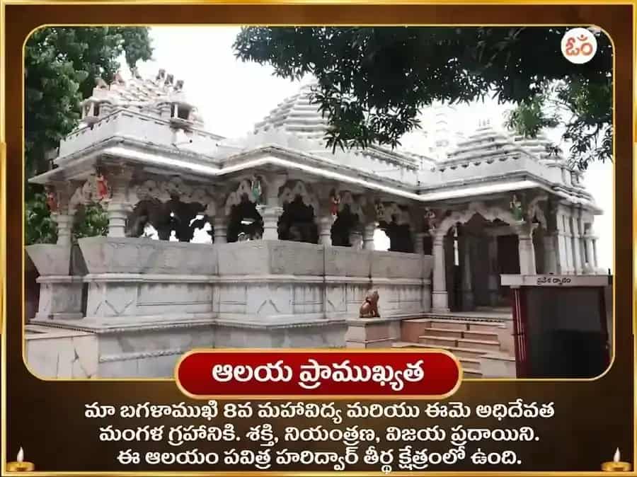 మా బగళాముఖి 51000 లాల్ మిర్చి హవనం puja gallery 4