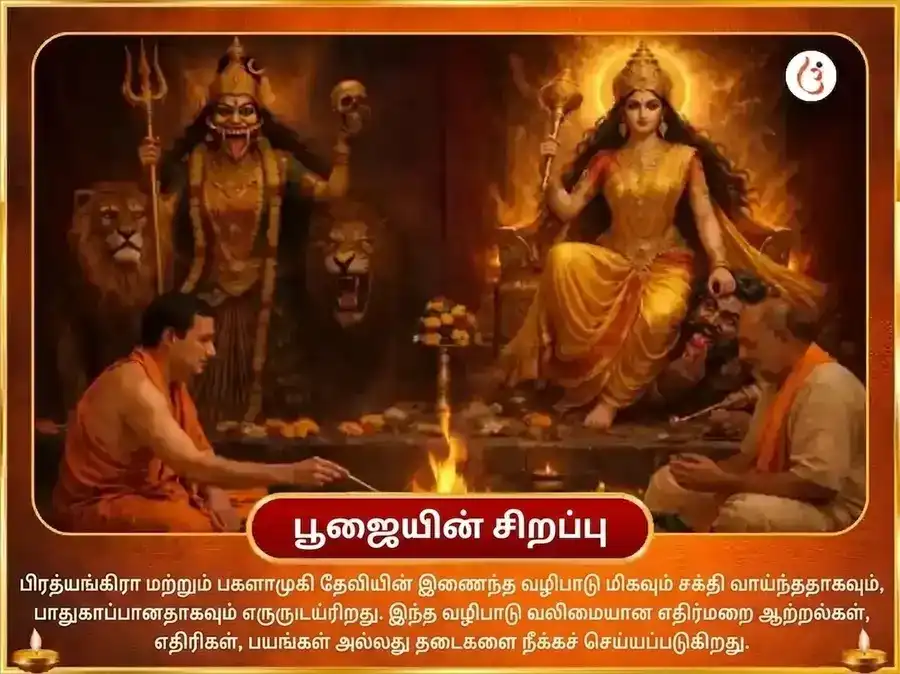மா பகளாமுகி பிரத்யங்கிரா சன்யுக்த 18000 மூல மந்திர ஜபம் மற்றும் நிம்பூ மிர்ச்சி ஹவன் puja gallery 4