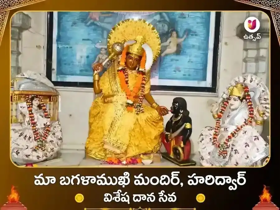 మా బగళాముఖి మందిర్ హరిద్వార్ విశేష దాన సేవ puja image 1