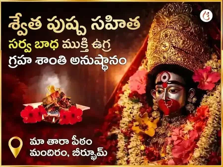 శ్వేత పుష్ప సహిత సర్వ బాధా ముక్తి ఉగ్ర గ్రహ శాంతి మహానుష్ఠానం puja image 1