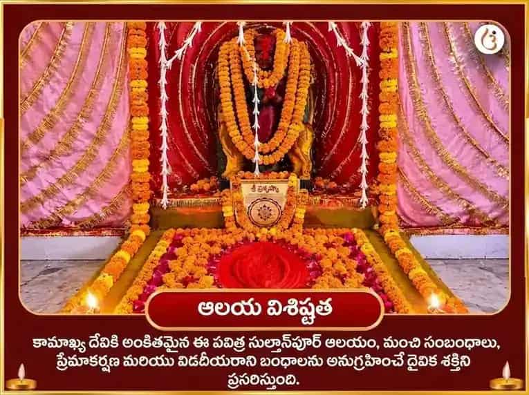 మా కామాఖ్య కామ-కామేశ్వరి మంత్ర జాప్ & గులాబ్ అర్పణ్ puja gallery 4