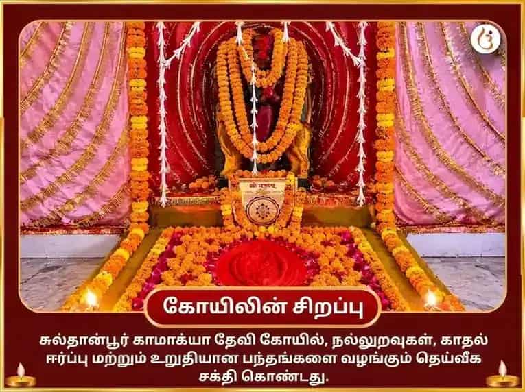 மா காமாக்யா காம-காமேஷ்வரி மந்திர ஜபம் மற்றும் குலாப் அர்ப்பணம் puja gallery 4