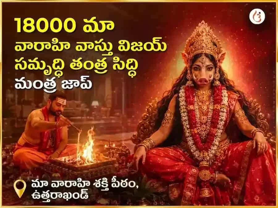 ౧౮౦౦౦ మా వారాహి మూల మంత్ర జపం మరియు హవన అనుష్ఠానం puja image 1