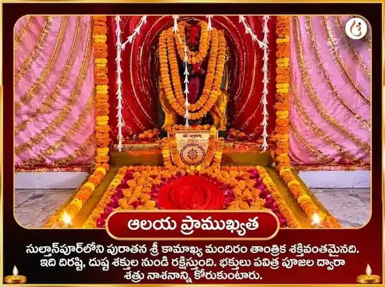 మా కామాఖ్య నజర్ దోష నివారణ తంత్ర సిద్ధి మహా పూజ puja gallery 4