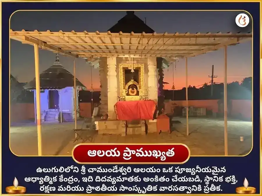 బోనాల విశేష మా చాముండేశ్వరి నవచండీ & 64 యోగినీ హోమం puja gallery 3