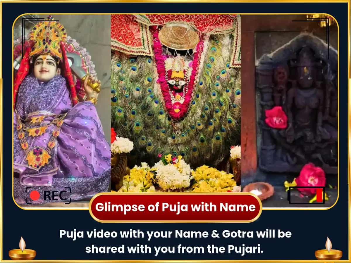 Saraswati Avahan Visesh Neel Saraswati Matangi Sanyukt Maha Saraswati Visesh Daan Seva puja gallery 2