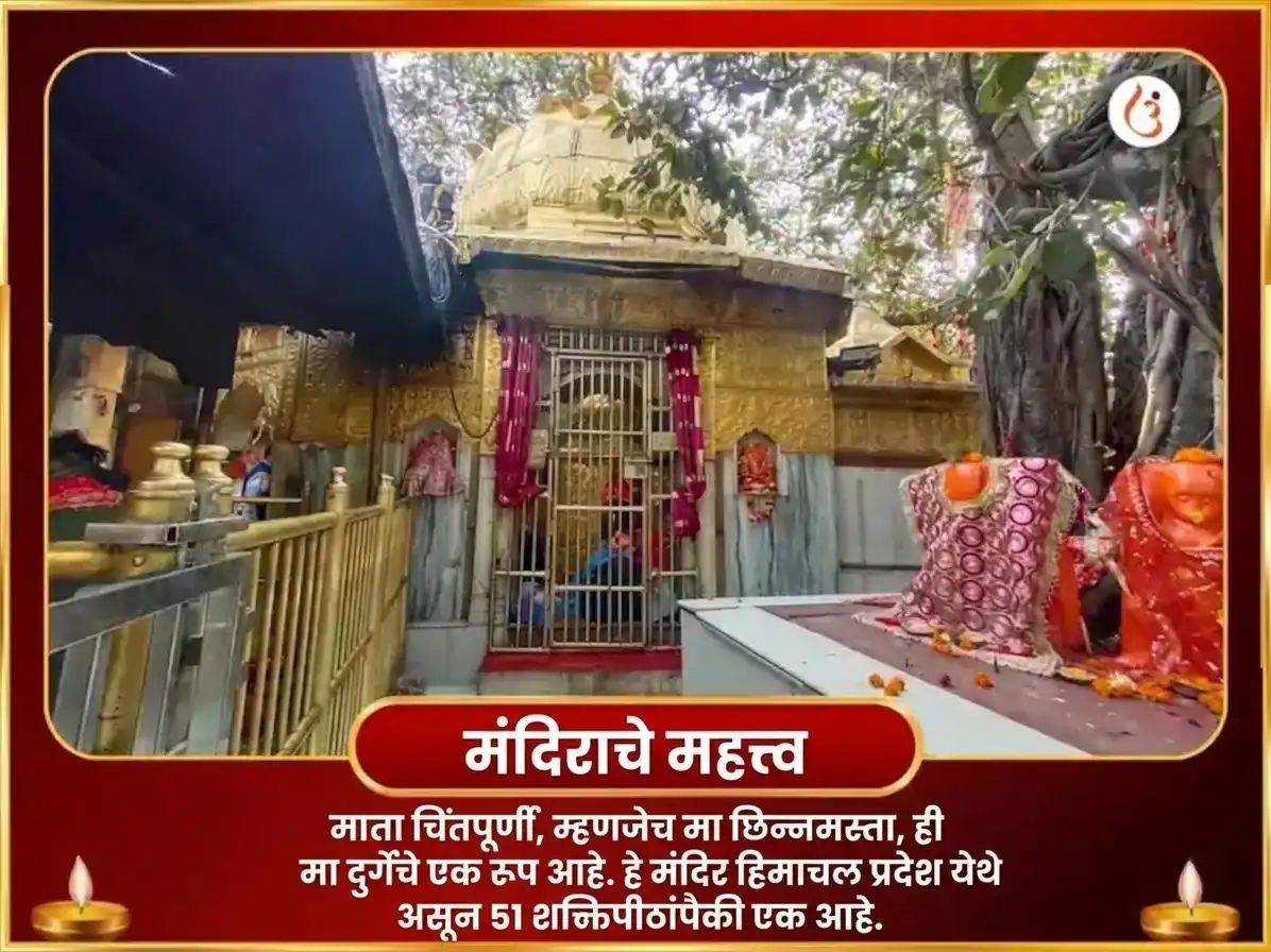 नवरात्री विशेष माँ चिंतपूर्णी राहू शांती चंडी पाठ आणि हवन puja gallery 4