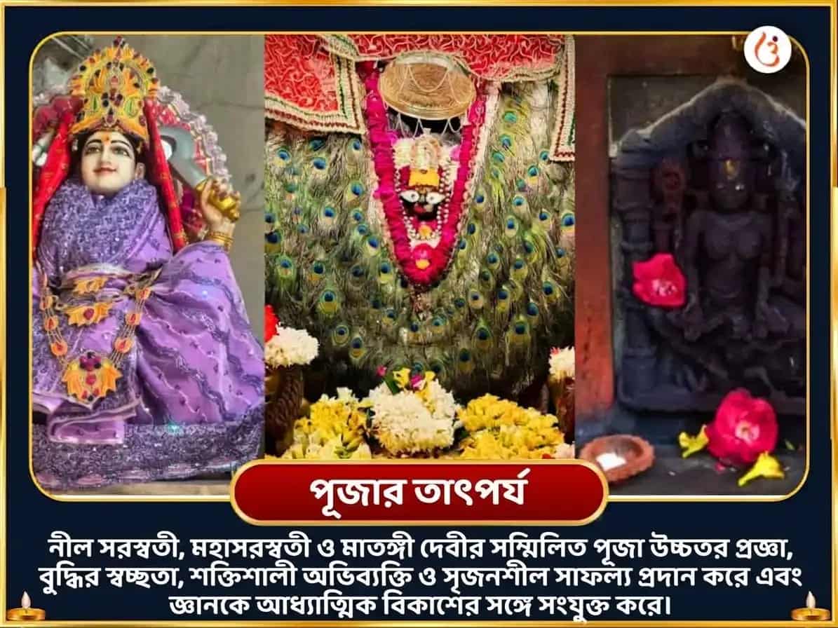 সরস্বতী আবাহন বিশেষ নীল সরস্বতী মাতঙ্গী সংযুক্ত মহাসরস্বতী বিশেষ দান সেবা puja gallery 3