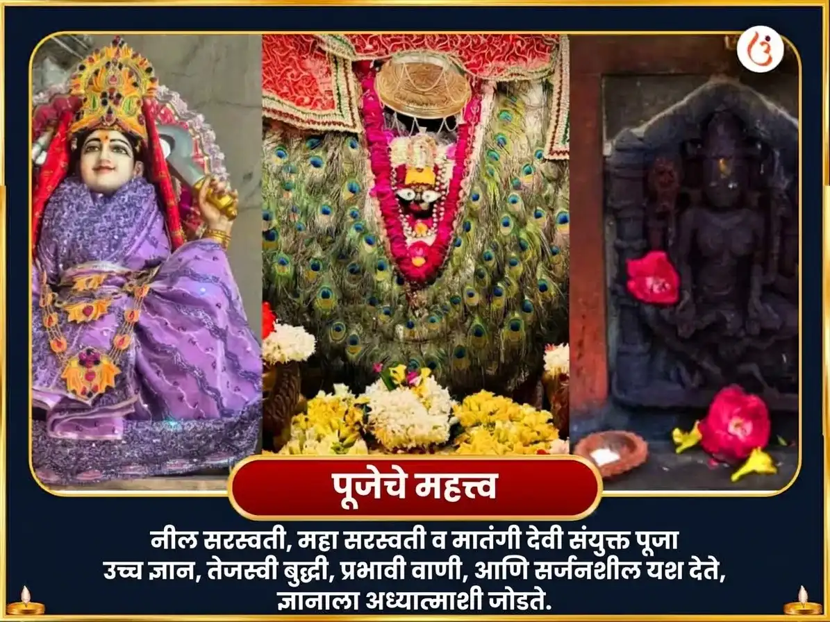 सरस्वती आवाहन विशेष नील सरस्वती मातंगी संयुक्त महासरस्वती विशेष दान सेवा puja gallery 3