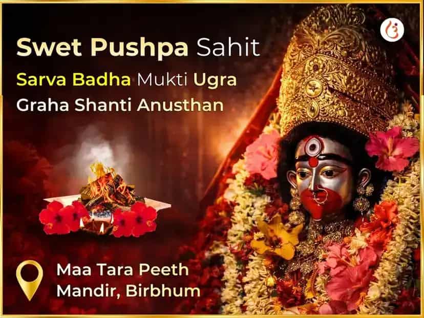 Shwet Pushpa Sahit Sarva Badha Mukti Ugra Graha Shanti Mahaanushthan puja image 1