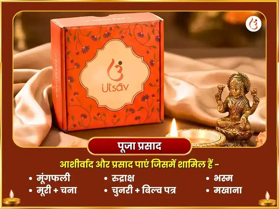 महालक्ष्मी धन योग प्राप्ति 16 कला पूर्ति महाहवन एवं हंस सेवा puja gallery 3