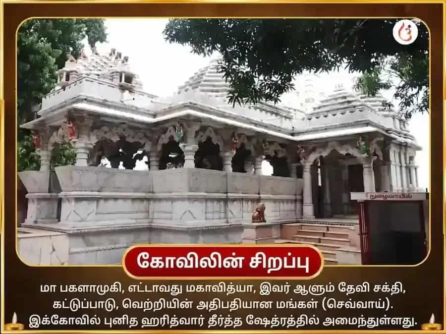 மா பகளாமுகி 51000 லால் மிர்சி ஹவன் puja gallery 4