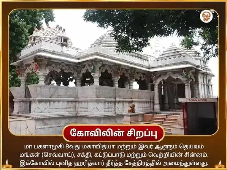 மா பக்ளாமுகி 36000 பக்ளாமுகி அஷ்டகம் பாராயணம் puja gallery 4