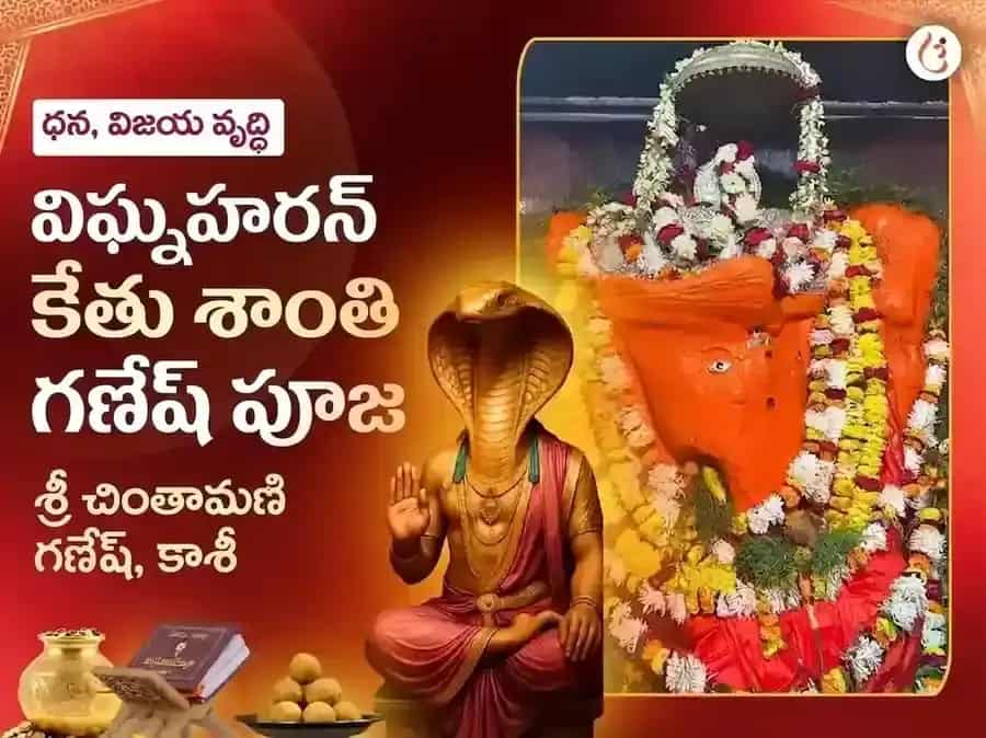చింతామణి గణేష్ విఘ్నహరన్ కేతు శాంతి మహా పూజ puja image 1