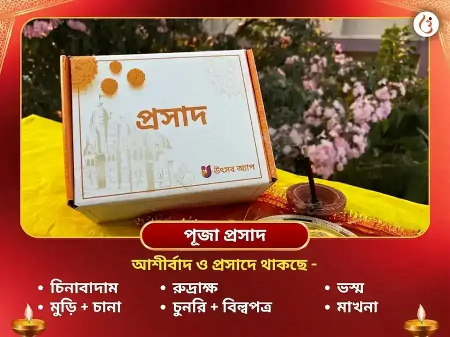 চিন্তামণি গণেশ বিঘ্নহরণ কেতু শান্তি মহাপূজা puja gallery 3