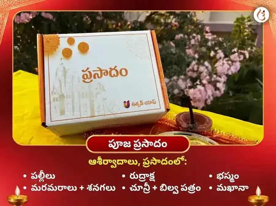 చింతామణి గణేష్ విఘ్నహరన్ కేతు శాంతి మహా పూజ puja gallery 3